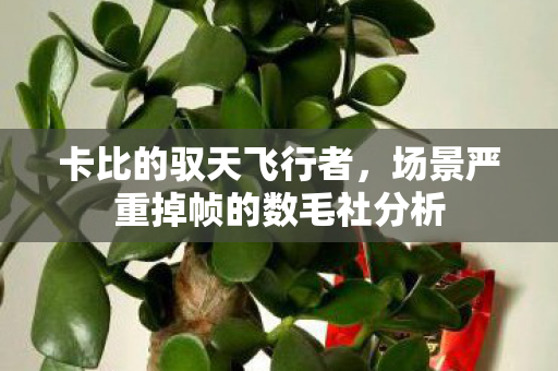 卡比的驭天飞行者，场景严重掉帧的数毛社分析