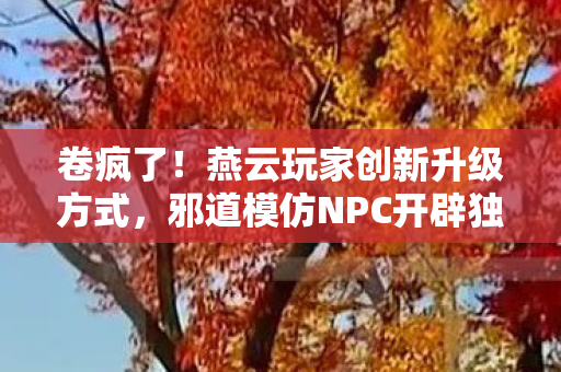 卷疯了！燕云玩家创新升级方式，邪道模仿NPC开辟独特赛道！