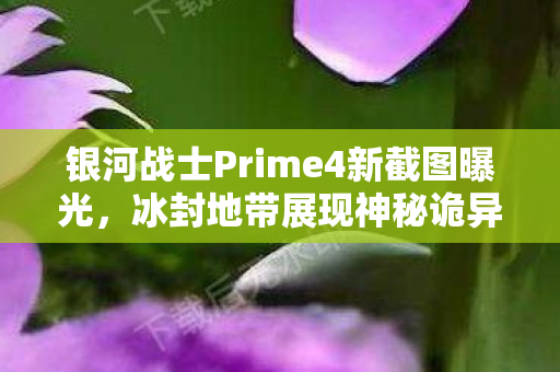 银河战士Prime4新截图曝光，冰封地带展现神秘诡异魅力！