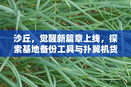 沙丘，觉醒新篇章上线，探索基地备份工具与扑翼机货舱的神秘面纱