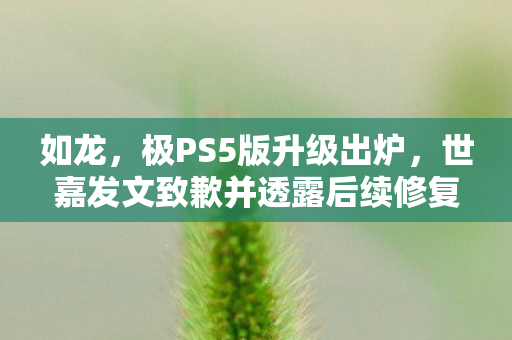 如龙，极PS5版升级出炉，世嘉发文致歉并透露后续修复计划