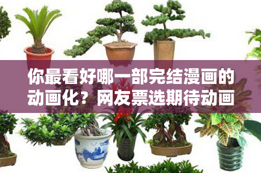 你最看好哪一部完结漫画的动画化？网友票选期待动画化的潜力作品