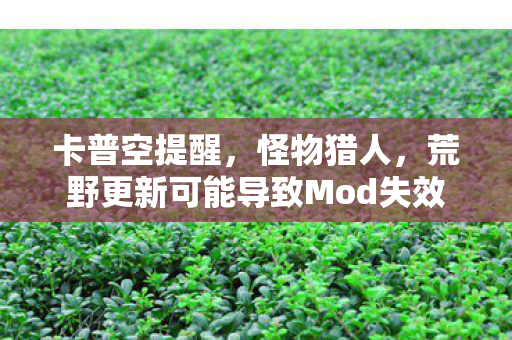 卡普空提醒，怪物猎人，荒野更新可能导致Mod失效