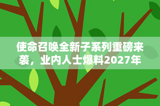 使命召唤全新子系列重磅来袭，业内人士爆料2027年大动作！