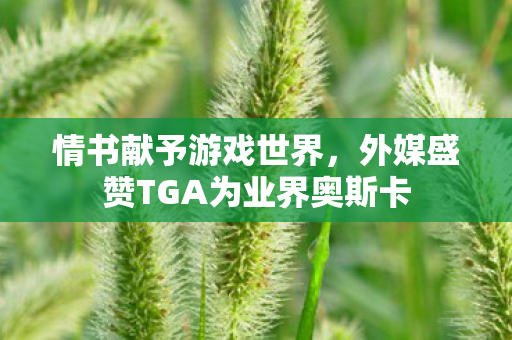 情书献予游戏世界，外媒盛赞TGA为业界奥斯卡