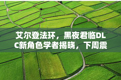 艾尔登法环，黑夜君临DLC新角色学者揭晓，下周震撼登场！