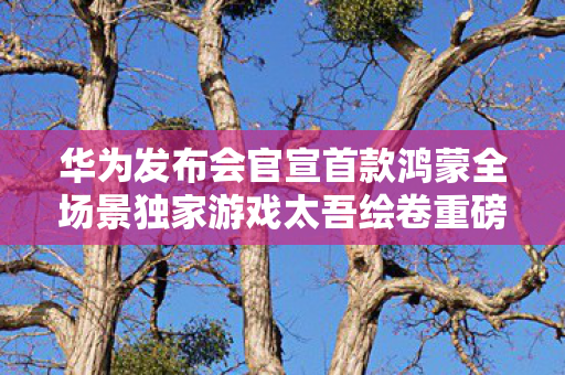 华为发布会官宣首款鸿蒙全场景独家游戏太吾绘卷重磅来袭