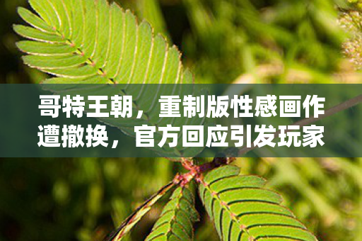 哥特王朝，重制版性感画作遭撤换，官方回应引发玩家不满与争议