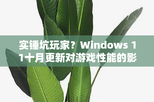 实锤坑玩家？Windows 11十月更新对游戏性能的影响探讨