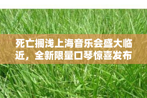 死亡搁浅上海音乐会盛大临近，全新限量口琴惊喜发布