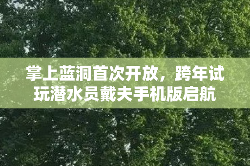 掌上蓝洞首次开放，跨年试玩潜水员戴夫手机版启航