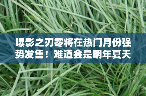 曝影之刃零将在热门月份强势发售！难道会是明年夏天？
