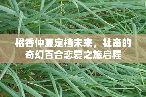 橘香仲夏定档未来，社畜的奇幻百合恋爱之旅启程