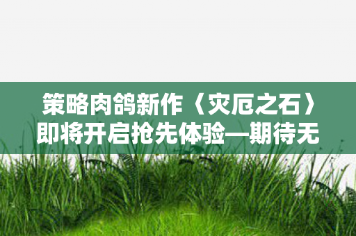 策略肉鸽新作〈灾厄之石〉即将开启抢先体验—期待无限，策略至上