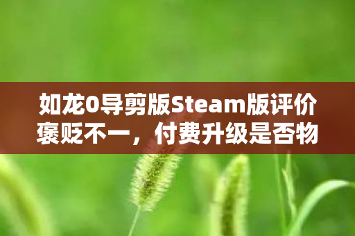 如龙0导剪版Steam版评价褒贬不一，付费升级是否物有所值？