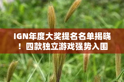 IGN年度大奖提名名单揭晓！四款独立游戏强势入围