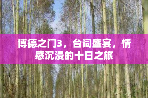 博德之门3，台词盛宴，情感沉浸的十日之旅