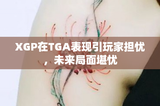 XGP在TGA表现引玩家担忧，未来局面堪忧