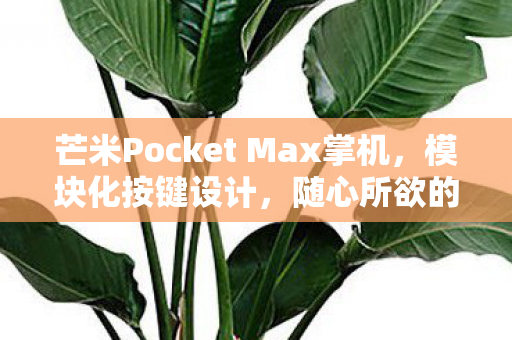 芒米Pocket Max掌机，模块化按键设计，随心所欲的更换体验