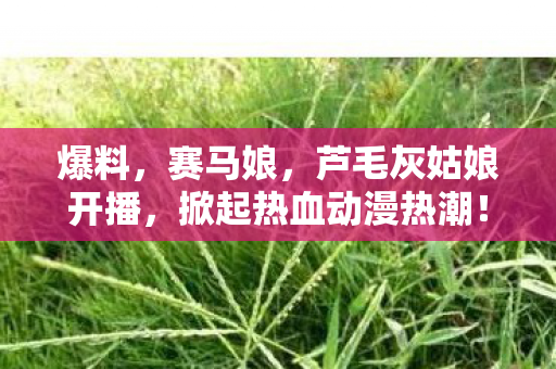 爆料，赛马娘，芦毛灰姑娘开播，掀起热血动漫热潮！