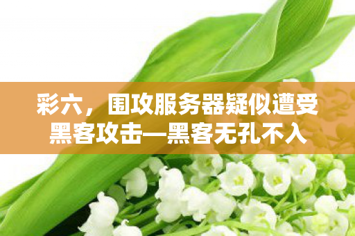 彩六，围攻服务器疑似遭受黑客攻击—黑客无孔不入