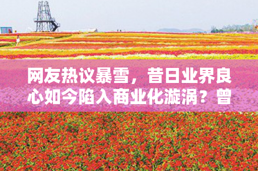 网友热议暴雪，昔日业界良心如今陷入商业化漩涡？曾经的良心企业如今沉迷于卖皮肤圈钱！