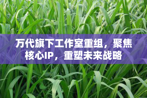 万代旗下工作室重组，聚焦核心IP，重塑未来战略