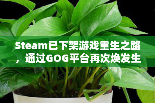 Steam已下架游戏重生之路，通过GOG平台再次焕发生机