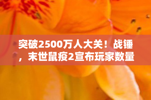 突破2500万人大关！战锤，末世鼠疫2宣布玩家数量创新高