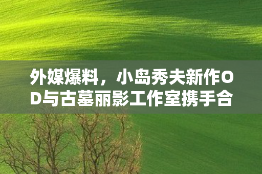 外媒爆料，小岛秀夫新作OD与古墓丽影工作室携手合作！