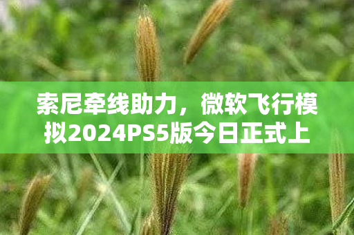 索尼牵线助力，微软飞行模拟2024PS5版今日正式上线