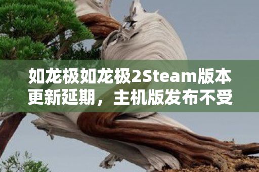 如龙极如龙极2Steam版本更新延期，主机版发布不受影响