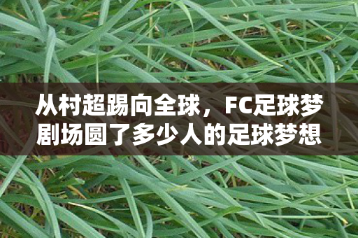 从村超踢向全球，FC足球梦剧场圆了多少人的足球梦想
