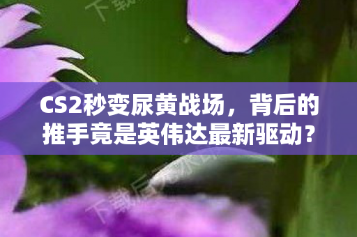 CS2秒变尿黄战场，背后的推手竟是英伟达最新驱动？