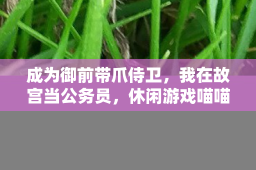 成为御前带爪侍卫，我在故宫当公务员，休闲游戏喵喵宫廷即将上线