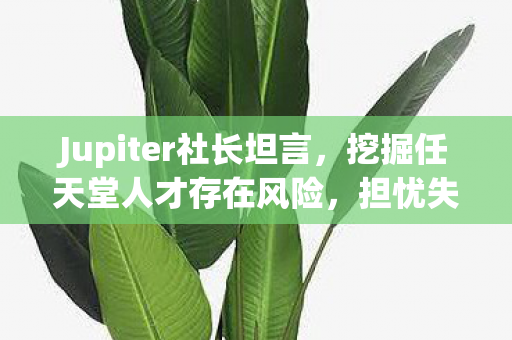 Jupiter社长坦言，挖掘任天堂人才存在风险，担忧失去合作机会