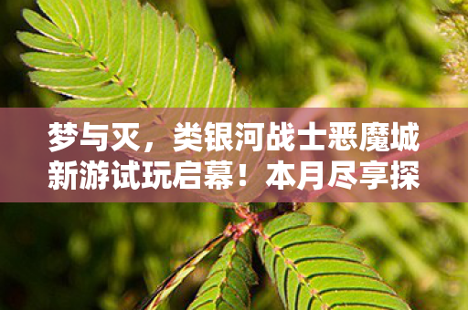 梦与灭，类银河战士恶魔城新游试玩启幕！本月尽享探索之旅！