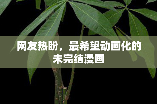 网友热盼，最希望动画化的未完结漫画