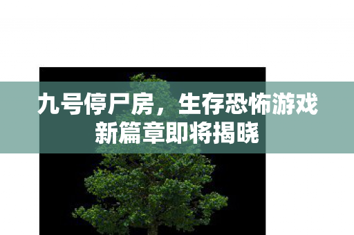 九号停尸房，生存恐怖游戏新篇章即将揭晓