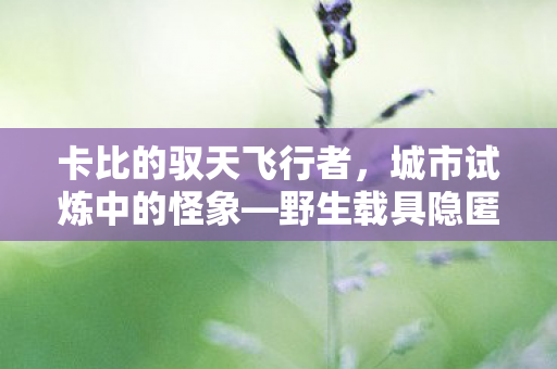 卡比的驭天飞行者，城市试炼中的怪象—野生载具隐匿于人潮之中