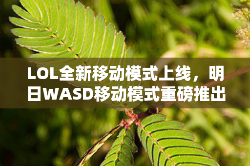 LOL全新移动模式上线，明日WASD移动模式重磅推出，补位尽力输局不扣胜点