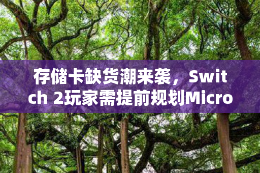存储卡缺货潮来袭，Switch 2玩家需提前规划MicroSD容量战略