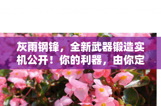 灰雨钢锋，全新武器锻造实机公开！你的利器，由你定义