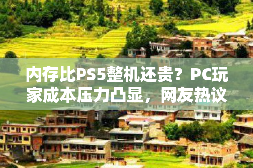 内存比PS5整机还贵？PC玩家成本压力凸显，网友热议不断