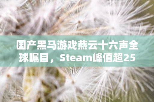 国产黑马游戏燕云十六声全球瞩目，Steam峰值超25万！