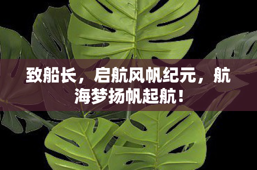 致船长，启航风帆纪元，航海梦扬帆起航！