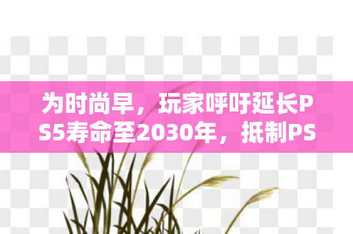 为时尚早，玩家呼吁延长PS5寿命至2030年，抵制PS6过早问世