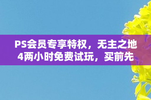 PS会员专享特权，无主之地4两小时免费试玩，买前先试！