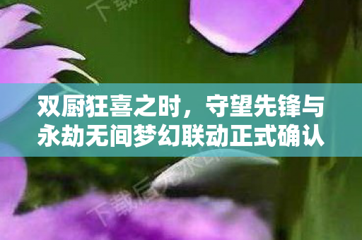 双厨狂喜之时，守望先锋与永劫无间梦幻联动正式确认