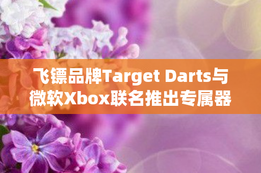 飞镖品牌Target Darts与微软Xbox联名推出专属器材，跨界合作的极致魅力